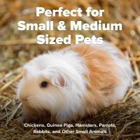 All Walks 18.5 Liter 100% Natural Hemp Bedding - Odor Control, Dust-Free, Chemical-Free, for Chicken Coops, Hamsters, Rabbits & Small Animals, Biodegradable, Made in USA, Highly Absorbent - Image 4