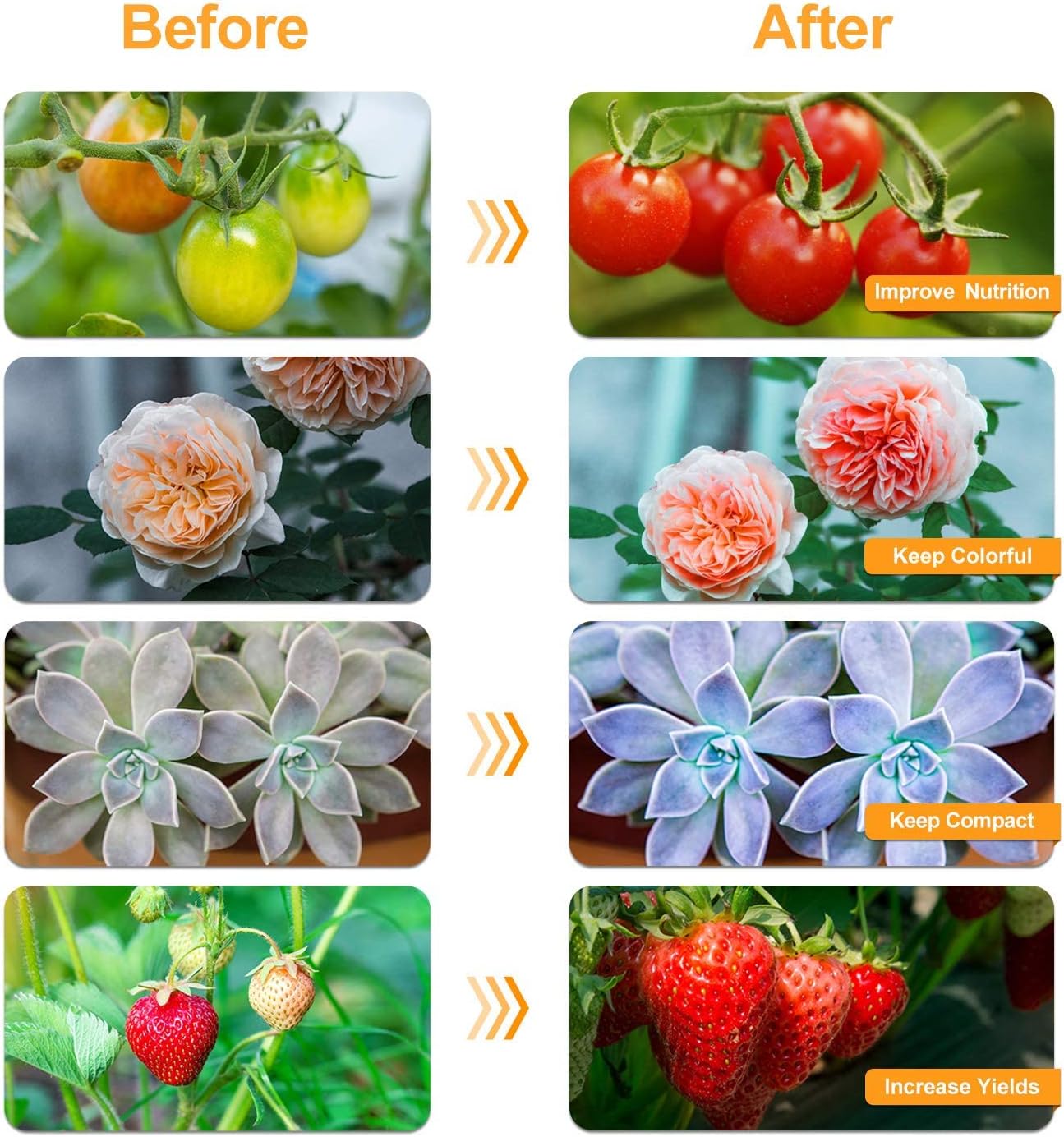 bseah Grow Light Plant Lights for Indoor Plants, Full Spectrum Plant Grow Lamp, 10 Dimmable Levels Auto ON & Off with 3/9/12H Timer - Image 5