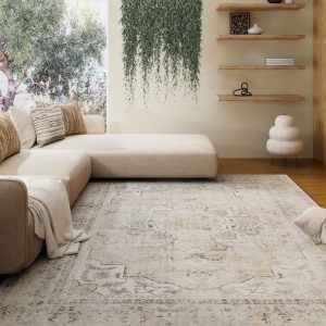 Washable Area Rugs for Living Room: 5x7 Area Rugs for Bedroom Stain Resistant Distressed Vintage Accent Rug Non Slip Low Pile Faux Wool Soft Boho Rugs for Kitchen Bedside Nursery Office Dining Room