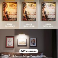 Picture Light Battery Operated, 13in Wireless Art Light for Paintings, Dimmable 5000mAh Recharging Battery Picture Light with Remote Control for Wall, Gallery Dartboard Art Bedroom (Gold-2Pack) - Image 2