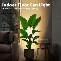 SUNVIE 2 Pack Uplighting Indoor Floor Can Light, 5W Up Lights with 2700K LED GU10 Bulbs, Uplights Floor Spot Lights Indoor for Home Accent Lighting, 5.9 FT Plug Cord & Foot Switch - Image 3