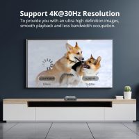 ByDiffer 4K Digital Media Player, TV MP4 Video Player for USB Drives and SD Cards, Ultra HD, H.265/HEVC, Digital Signage, Looping and Auto Playback, HDMI and AV Output (Grey) - Image 3