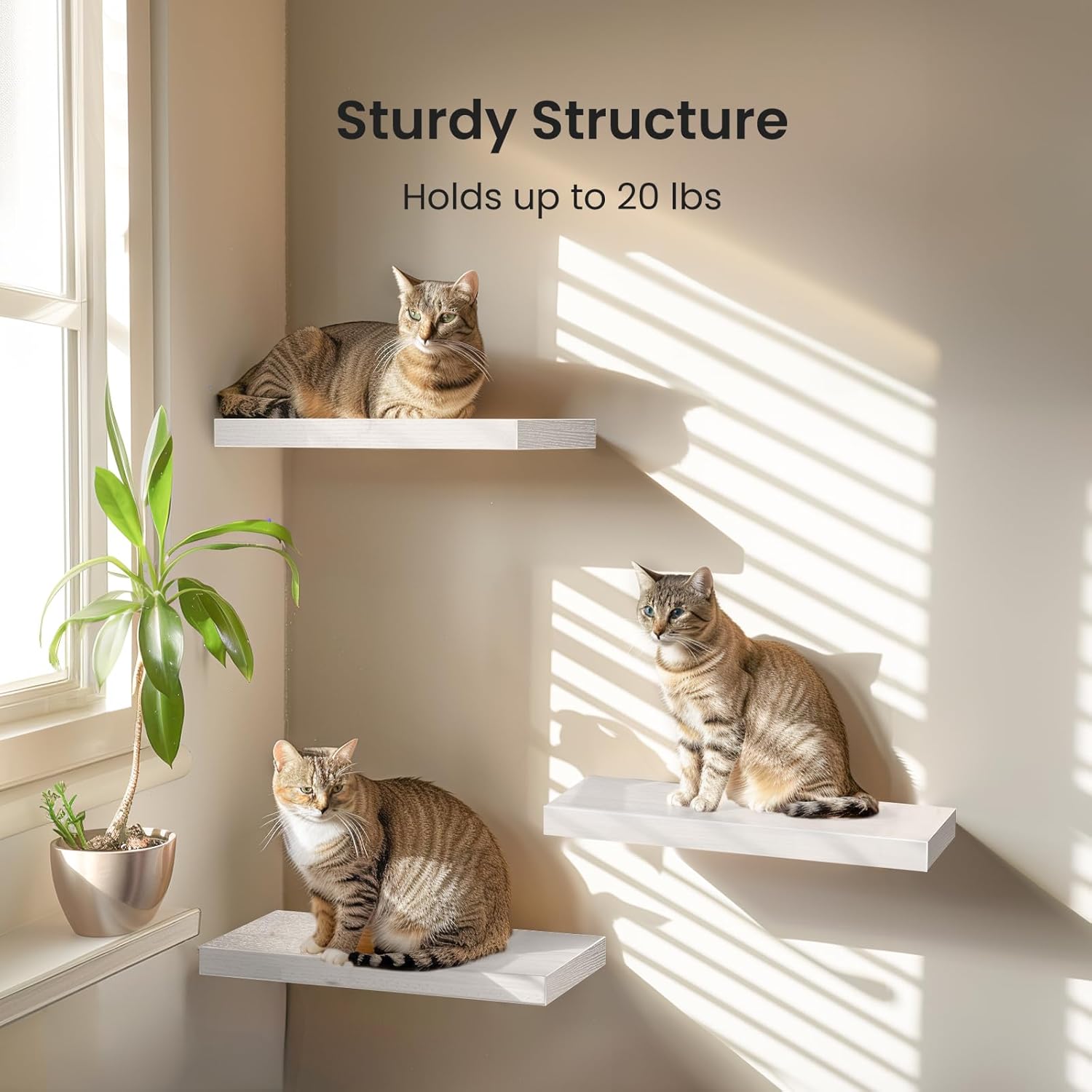 AMADA HOMEFURNISHING Floating Shelves, Wall Shelves for Bathroom/Living Room/Bedroom/Kitchen Decor, White Shelves with Invisible Brackets Set of 3 - AMFS08 - Image 4