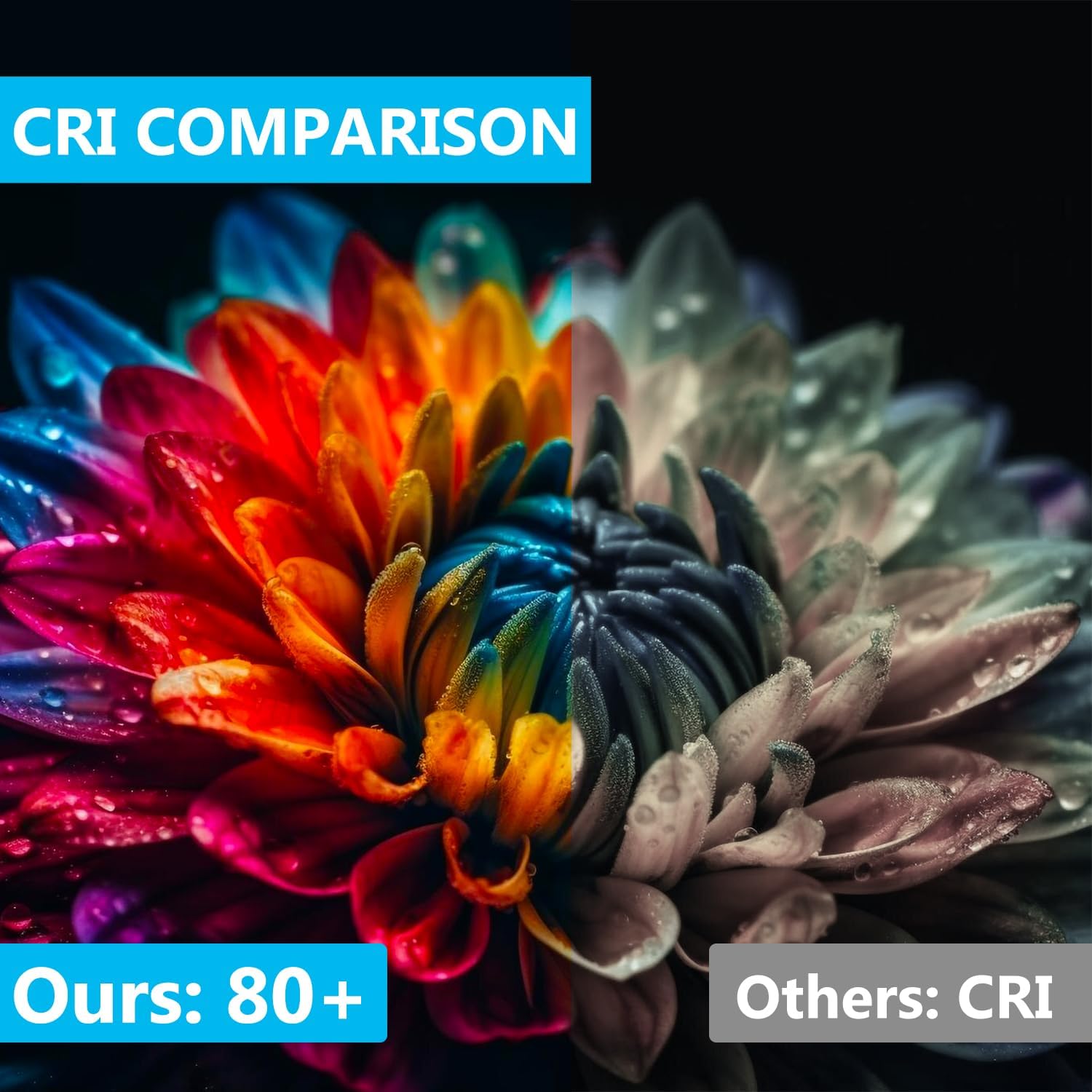 DAYBETTER BR30 LED Light Bulbs Indoor Flood Light, 6Pack 5000K Daylight White LED Bulb 65W Equivalent, Dimmable, E26 Base, 800LM, Recessed Can Bulb for Living Room Bedroom Dining Room Bathroom - Image 8