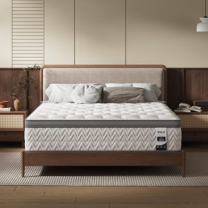 King Mattress 10 Inch, 5-Zone Deep Sleep Firm Mattress with Extra Lumbar & Shoulder Support, Hotel Collection Hybrid Mattresses Pain Relief - Fiberglass Free & No Odor - 365 Night Trial