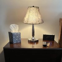 TOOTOO STAR Printed LampShade Set of 2, 6" Top X 12" Bottom X 8.5" High For table and floor lamps, wall lamps Modern Vintage Style Lampshade (Spider) - Image 5