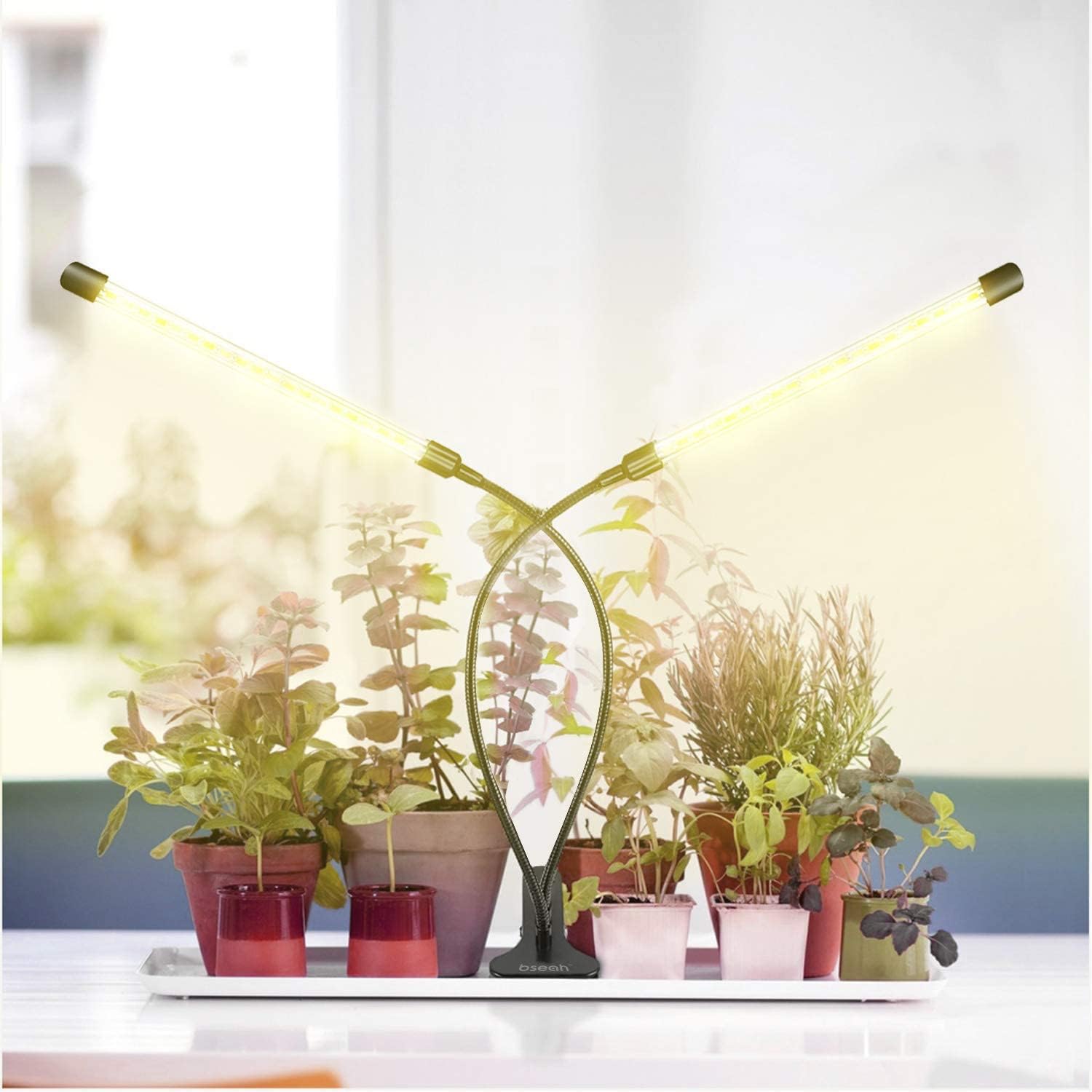 bseah Grow Light Plant Lights for Indoor Plants, Full Spectrum Plant Grow Lamp, 10 Dimmable Levels Auto ON & Off with 3/9/12H Timer - Image 6