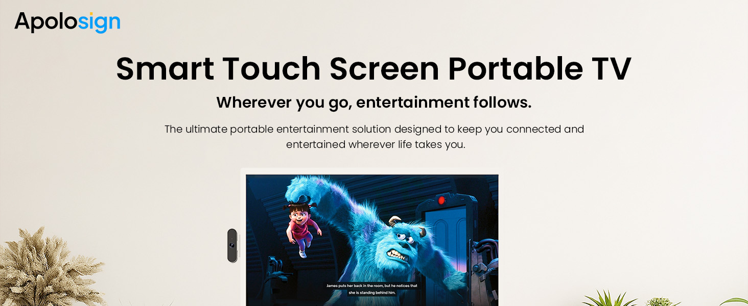 portable tv