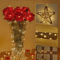 Minetom Fairy Lights Battery Operated with Remote, 33Ft 100 LED Waterproof String Lights Indoor Outdoor, Starry Twinkle Light for Christmas Home Bedroom Wedding DIY Centerpiece Decor - Image 6