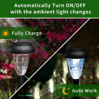 GIGALUMI 12 Pack Solar Light Outdoor Waterproof, Cool White Pathway Lights Solar Powered, Landscape Lighting, Garden Lights for Decor, Patio, Garden, Yard, Pathways, Walkway - Image 4