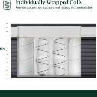 ZINUS 12 Inch True Support Hybrid Mattress [New Version], Queen, Fiberglass Free, Medium Feel, Motion Isolation, Certified Safe Foams & Fabric, Mattress in A Box - Image 6