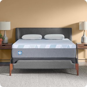 Sealy Dreamlife 12” Foam Mattress-in-a-Box, King, SealyComfort Gel Memory Foam, SealySupport Transition Foam, Surface-Guard Technology