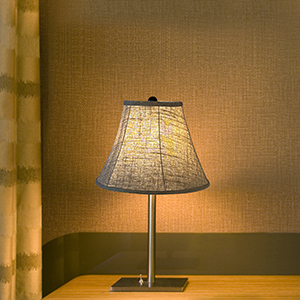 lampshade Lampshade set of 2