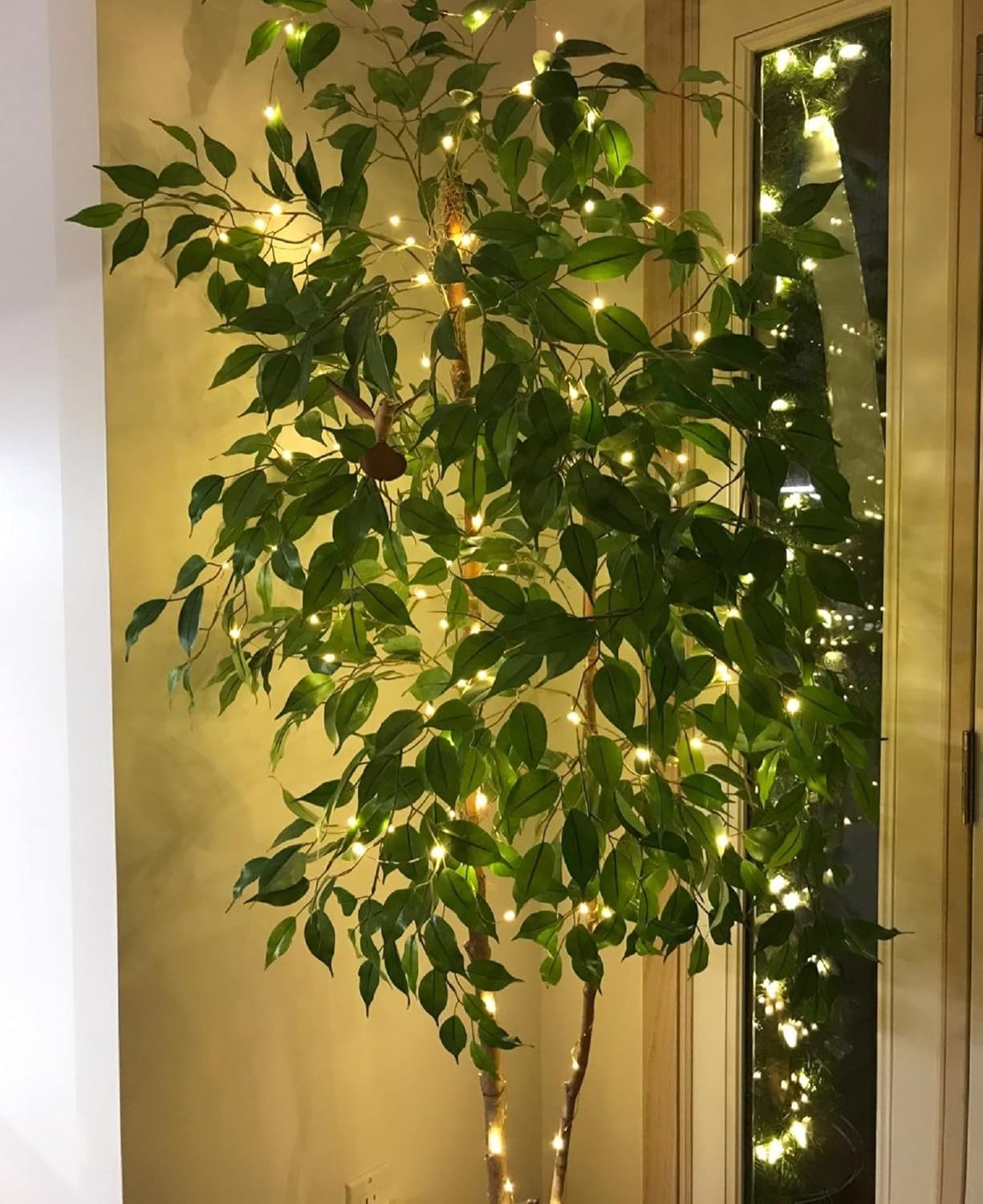 Lighting EVER Fairy Lights Plug in, 33ft 100 LED String Lights for Bedroom, Warm White Copper Wire Lights, Waterproof Indoor Outdoor Decorative Fairy Lights for Patio, Garden, Balcony, Vases, Craft - Image 2