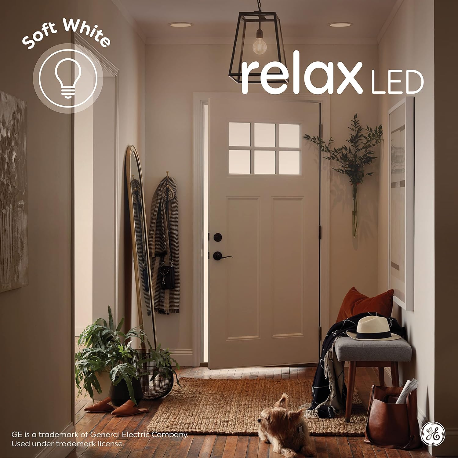GE Relax LED Light Bulb, 65 Watt, Soft White, BR30 Indoor Floodlight (4 Pack) - Image 3