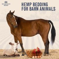Premium Hemp Bedding for Chicken Coops in Bulk 285 Liters - USA-Grown & Processed - Ideal Nesting Material for Newly Hatched Chicks - Brooder Cover - Suitable for Pet Bedding, 1-Pack - Image 3