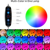Sunset Lamp Projector Multicolor Changing LED Projection Lamp,Switch Button and APP Control 360 Degree Rotation Sunlight Lamp for Bedroom, Photography, Party, Tiktok Live, Room Decor - Image 3