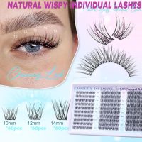 Lash Clusters Wispy Eyelash Clusters Natural CC-Curly Cluster Lashes zanlufly Wispy Individual Lashes 180Pcs Eyelash Extension 10 12 14MM DIY Lash Extension - Image 2