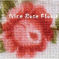 Stay Young Cute and Nice Rose Flower Area Rugs for Bedroom Living Room Bathroom Rugs Bath Mat Super Soft Non Slip Absorbent Green 17.71 x 49.21 Inch - Image 4