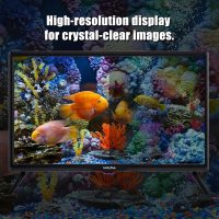 luckyfive CrystalView 24" Android Smart TV | Netflix & Disney+ YouTube Ready | Vibrant FHD Display | Google Play Store | Wi-Fi & Local Channels | HDMI/USB | VESA Mountable - Image 4