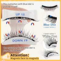QUEWEL Magnetic Eyelashes 1 Pair Reusable Magnetic Eyelashes with Applicator No Glue Needed Eyelashes Cat Eye Natural Look Lash Clusters Kit Easy to Wear and Remove(B07) - Image 3