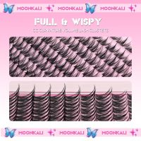 Natural Lash Clusters Wispy Fairy Cluster Eyelash Extensions 10-16MM CC Curly Manga Eyelash Clusters 120Pcs Individual Lashes Clusters Versatile DIY Lash Extension by MOONKALI - Image 4