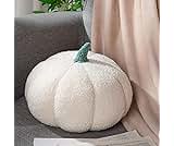 Kajaia 1 Pcs Simulated Pumpkin Pillow Plush 11 x 9.5 Inch 3D Cushion Fall Decorations Stuffed Throw Pillows Toy for Thanksgiving Christmas Halloween Bedroom Sofa Couch Supplies (White)