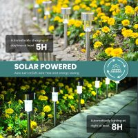 GIGALUMI 24 Pack Solar Path Lights Outdoor,Solar Lights Outdoor Waterproof,Stainless Steel LED Landscape Lighting,Solar Garden Lights for Driveway,Pathway,Patio,Yard - Image 7