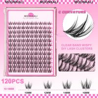 Natural Lash Clusters Wispy Fairy Cluster Eyelash Extensions 10-16MM CC Curly Manga Eyelash Clusters 120Pcs Individual Lashes Clusters Versatile DIY Lash Extension by MOONKALI - Image 2