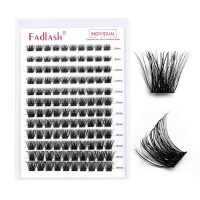 Lash Clusters DIY Eyelash Extensions 144 Clusters Lashes D Curl 0.07 Natural Individual Lash Extensions Mixed Tray False Eyelashes Soft & Strong Thin Band DIY at Home (F32-0.07D, 8-16mm) - Image 2