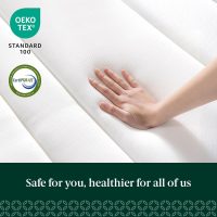 ZINUS 12 Inch True Support Hybrid Mattress [New Version], Queen, Fiberglass Free, Medium Feel, Motion Isolation, Certified Safe Foams & Fabric, Mattress in A Box - Image 5