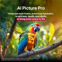LG 100-Inch Class QNED evo AI QNED85A Series Mini LED 4K Smart TV w/AI Picture, AI Sound, HDR10, AI Super Upscaling 4K, Filmmaker Mode, Wow Orchestra, Alexa Built-in (100QNED85AU, 2025) - Image 12
