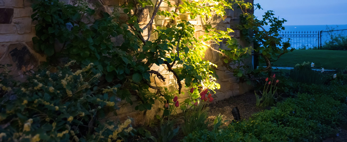 outdoor spotlights for yard