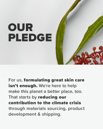 our pledge
