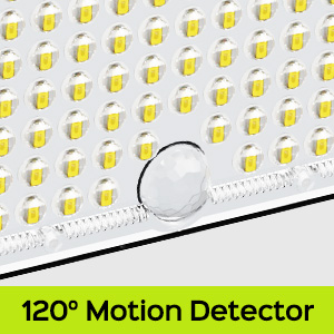 120° Motion Detector