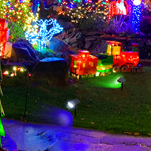 Solar Outdoor Color Lights 9