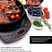 Nuwave Precision Induction Cooktop Gold, 12” Shatter-Proof Ceramic Glass Surface, Large 8” Heating Coil, Portable, 51Temp Settings 100°F to 575°F, 3 Wattage Settings 600, 900, and 1500 Watts - Image 3