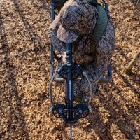 Excalibur V-Flight Pro 18" Carbon Fiber Arrows with Rhino V-Nocks for Compound Crossbows, 6-Pack (22VFP18-6) | Durable Archery Hunting Accessories - Image 6