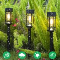 8 Pack Solar Pathway Lights Outdoor, Waterproof Solar Lights Outdoor with Metal & Glass Design - Auto On/Off, Long-Lasting, Landscape Lighting for Garden, Yard, Lawn, Driveway, Walkway - Image 3