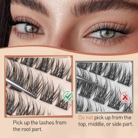 Natural Lash Clusters Wispy Eyelash Clusters C Curl Left&Right Cluster Eyelashes Extensions 180pcs Cluster Lashes DIY Individual Lash Extension Thin Band Cat Eye Lashes by TOOCHUNAG - Image 4