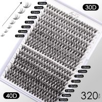 Lash Clusters DIY Lash Extensions Kit 320pcs Individual Lashes Clusters 30D 40D D Curl Eyelash Extension Kit with Applicator and Lash Bond&Seal,Clusters Lash Glue Remover Mix 10-16mm (30D+40D-320 KIT) - Image 2