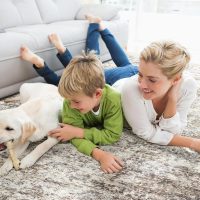 Area Rugs for Living Room: 5x7 Washable Neutral Abstract Rug for Bedroom Large Soft Modern Dining Room Rugs Indoor Floor Low Pile Carpet for Home Office Nursery - Brown Grey - Image 5