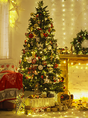 Christmas Lights Indoor Outdoor Christmas decorations Christmas tree lights