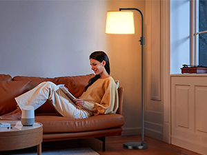 Cozy Corner with a Floor Lamp