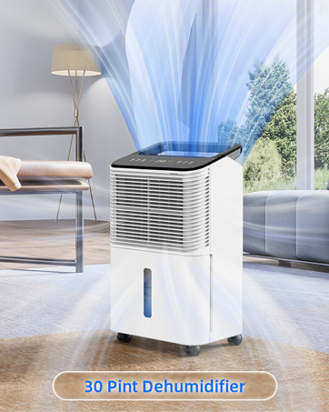 dehumidifier for basement
