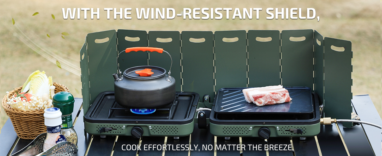 Camping Gas Stove