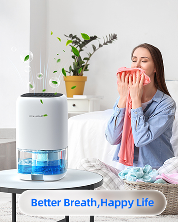 dehumidifiers for bedroom