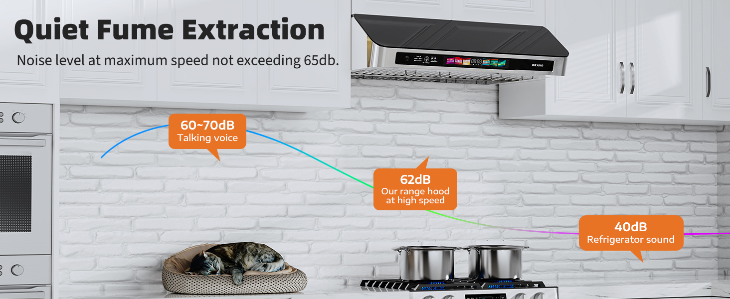 under cabinet range hood