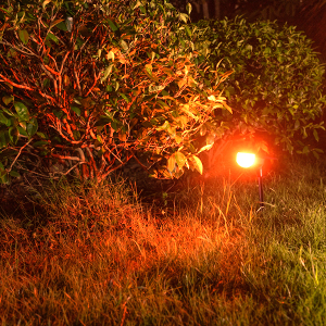 Solar Outdoor Color Lights 7