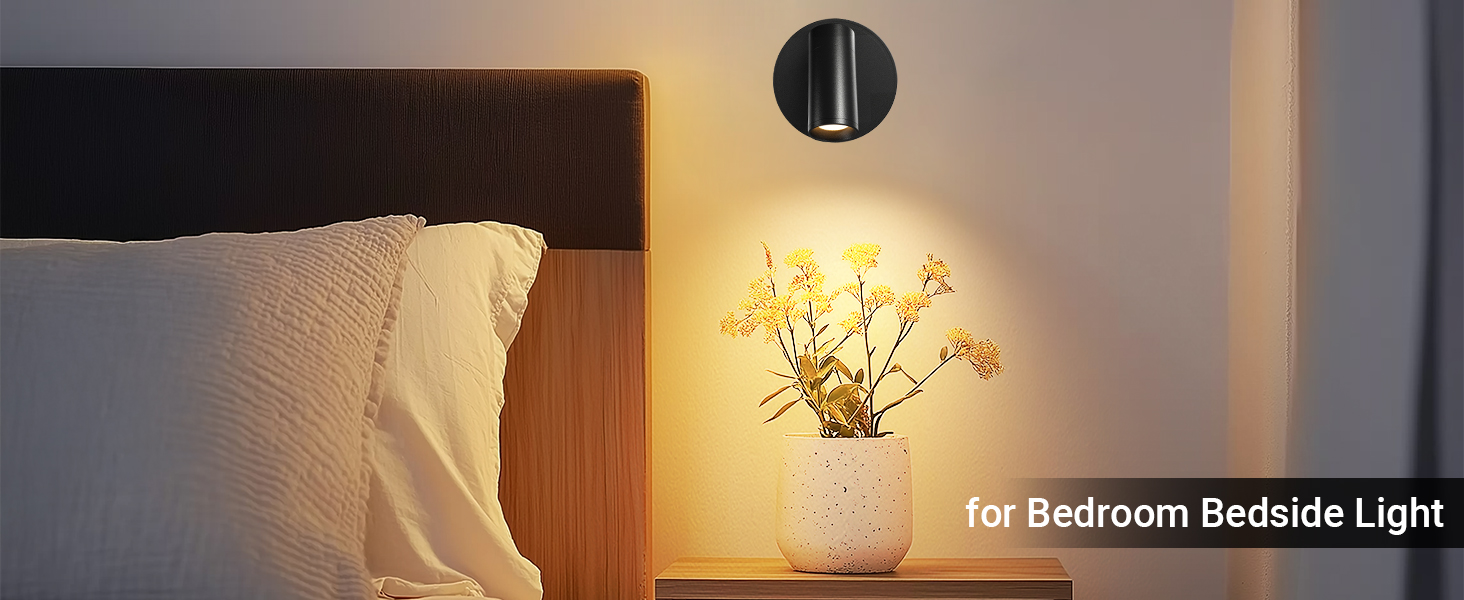 plant lights decor